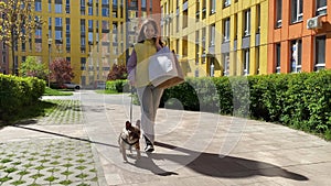 Cheerful young woman shopping while dog walking at city in sunny day