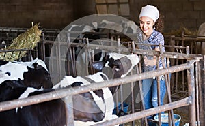 Cheerful young woman stroking cows on the farm