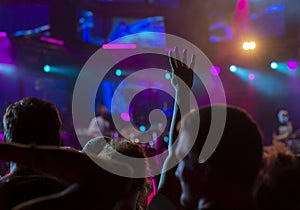 Cheering crowd at a rock concert