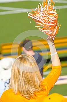 Cheering Tennesse Fan