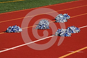 Cheerleader pom poms photo