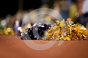 Cheerleader Poms