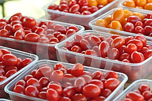 Cheery Grape Tomatoes red and yellow