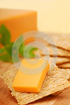 Cheese appetizer