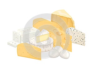 Cheese assortment, hard and soft, cow and sheep cheeses triangular pieces, vector Illustration on a white background