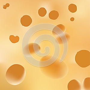 Cheese background