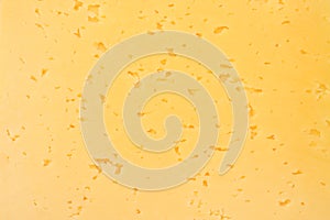 Cheese background. cheese texture. top view. macro