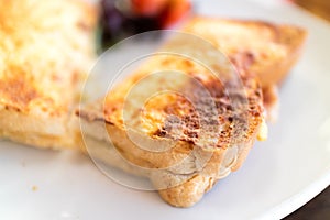 Toastie on a white plate photo