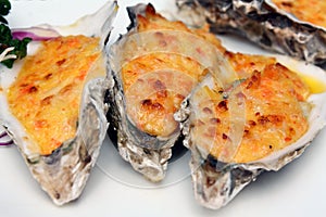 Cheese-Baked Oysters