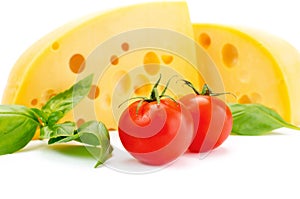 Cheese and basil with tomatoes leaves still life