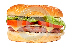 Sýr hamburger 