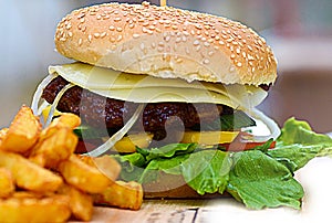 Cheese burger with french fries