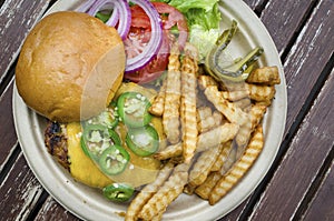 Cheese burger and fries