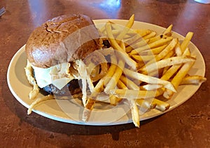 Cheeseburger and Fries photo