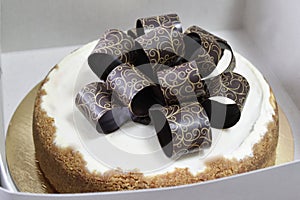 Cheese cake with choco transfer