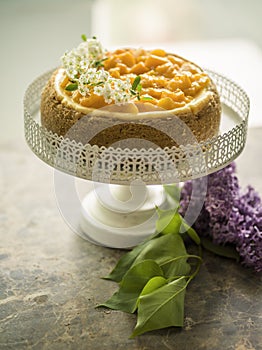 Cheese cake with fruits on a white stand