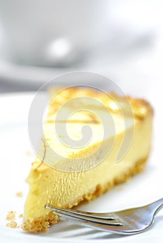 Cheese Cake Series 02