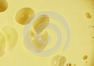 Cheese closeup texture background.