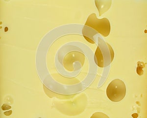 Cheese closeup texture background.