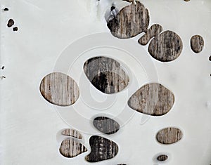 Cheese closeup texture background.