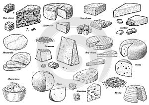 Cheese colelction, illustration, drawing, engraving, ink, line art, vector