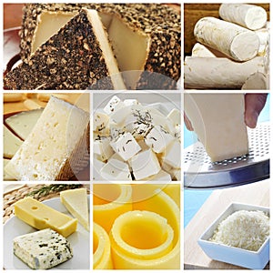 Cheese collage