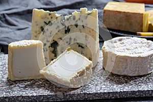 Cheese collection, French cheeses made from goat, cow and sheep melk: semi hard Roquefort blue cheese, soft Chabichou of Poitou