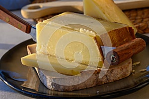 Cheese collection, French cow cheese comte, beaufort, abondance