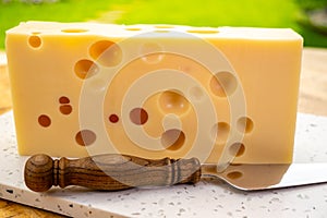 Cheese collection, french hard cheese with holes emmentaler close up