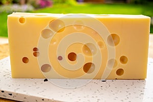 Cheese collection, french hard cheese with holes emmentaler close up