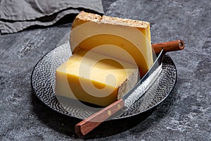 Cheese collection, French hard comte cheese made from cow milk in region Franche-Comte, France