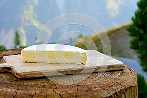 Cheese collection, French reblochon de savoie cheese served outdoor in Savoy region, with Alpine mountains peaks on background