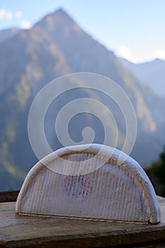 Cheese collection, French reblochon de savoie cheese served outdoor in Savoy region, with Alpine mountains peaks on background