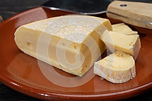 Cheese collection, French reblochon de savoie gratin cheese close up