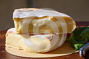 Cheese collection, French reblochon de savoie gratin cow milk cheese close up