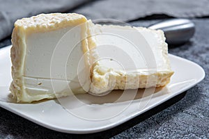 Cheese collection, French soft Chabichou of Poitou cheese made from goat milk in region Nouvelle-Aquitaine, France