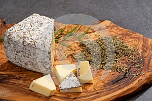 Cheese collection, French tomme cailladou cheese made with aromatic herbs of provence rosematy, thyme,  origano