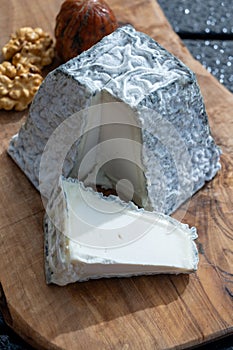 Cheese collection, French Valencay black pyramid cheese made from goat milk in France close up