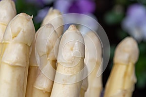 Cheese collection, Italian cheese scamorza, caciocavallo, provolone made from cow milk in South Italy yellow smoked cheese