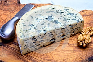 Cheese collection, piece of French blue cheese auvergne or fourme d`ambert