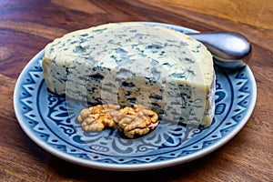 Cheese collection, piece of French blue cheese auvergne or fourme d`ambert