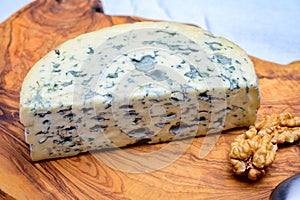 Cheese collection, piece of French blue cheese auvergne or fourme d`ambert