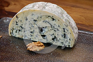 Cheese collection, piece of French blue cheese auvergne or fourme d`ambert