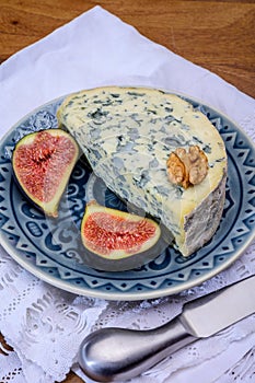 Cheese collection, piece of French blue cheese auvergne or fourme d`ambert