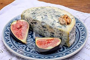 Cheese collection, piece of French blue cheese auvergne or fourme d`ambert