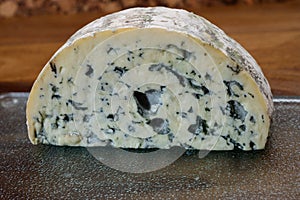 Cheese collection, piece of French blue cheese auvergne or fourme d`ambert