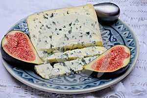 Cheese collection, piece of French blue cheese auvergne or fourme d`ambert