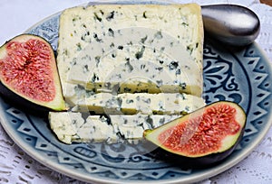 Cheese collection, piece of French blue cheese auvergne or fourme d`ambert