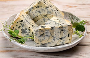 Cheese collection, piece of French blue cheese auvergne or fourme d`ambert