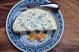 Cheese collection, piece of French blue cheese auvergne or fourme d`ambert